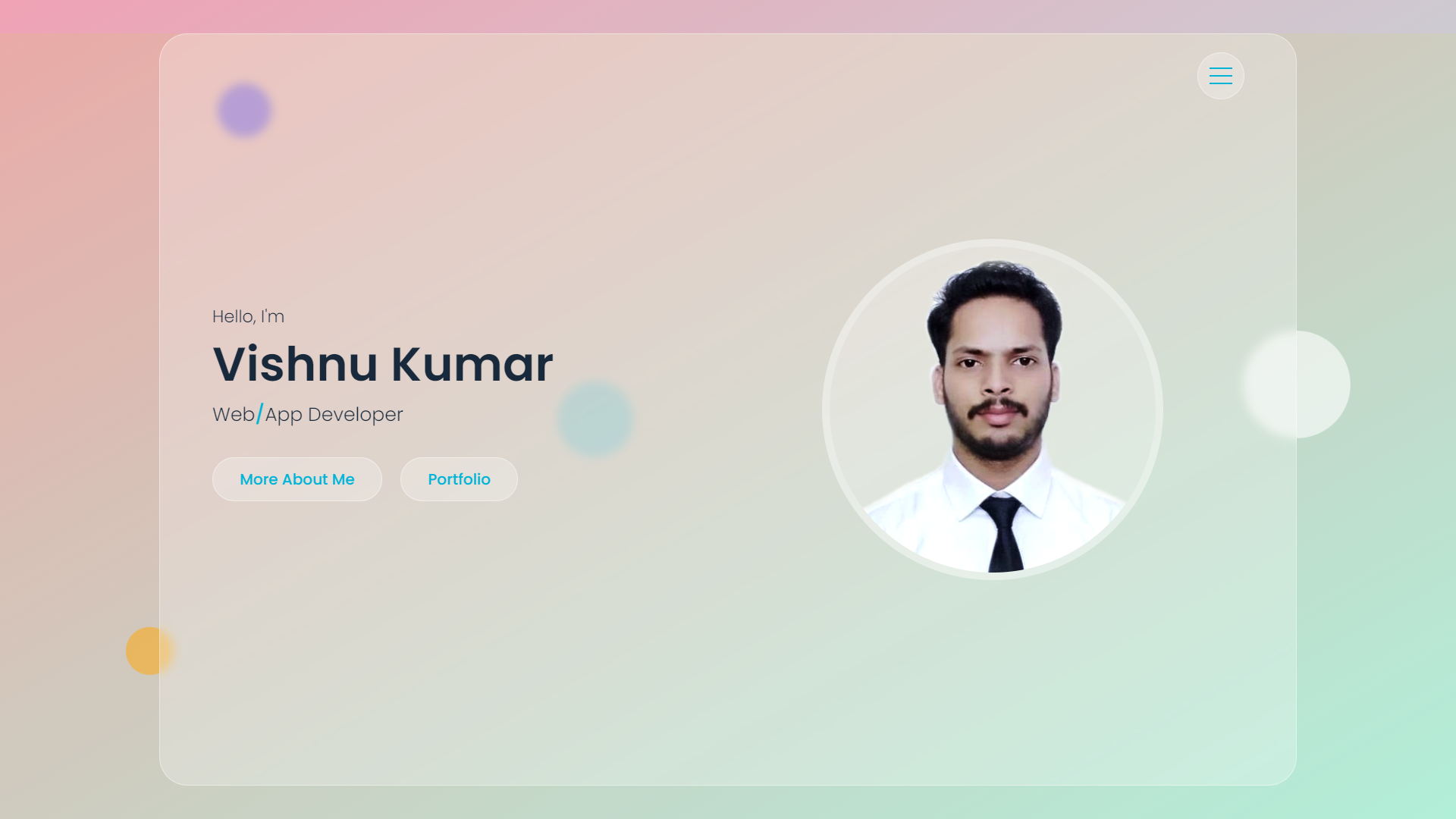 Vishnu's Portfolio